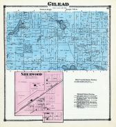 Gilead, Sherwood, Branch County 1872